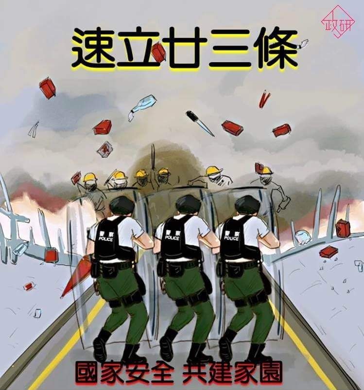 守護香港 支持23條立法